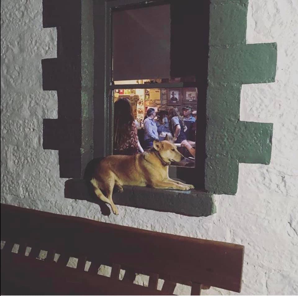 1_Birdsville Wendy Brook