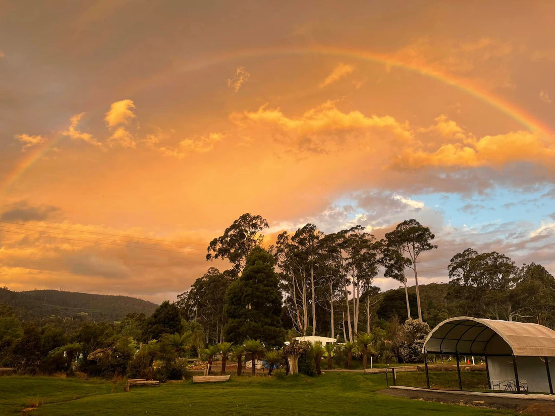 Left Of Field Camping Gardens, National Park, Tasmania