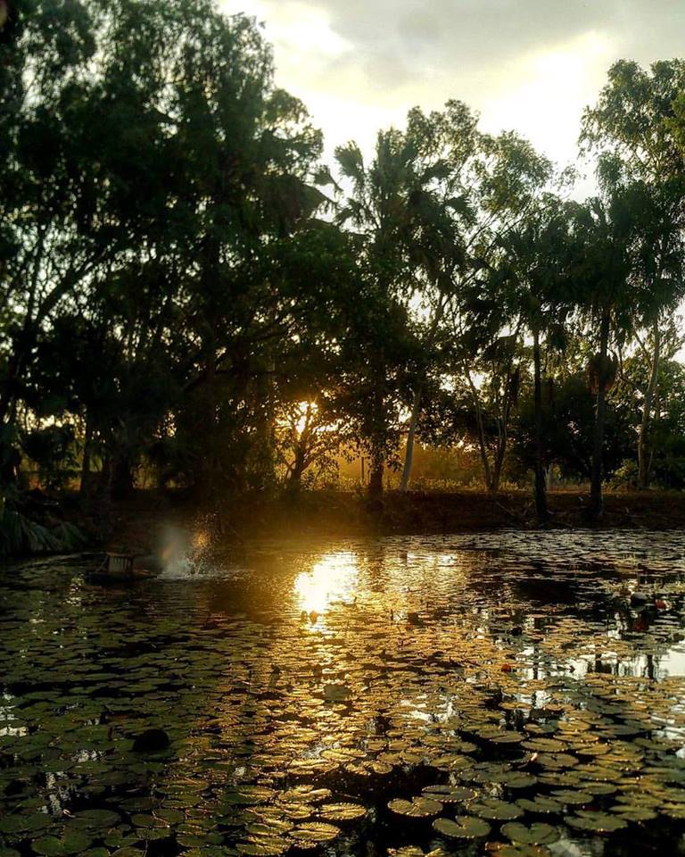 Mataranka Territory 2