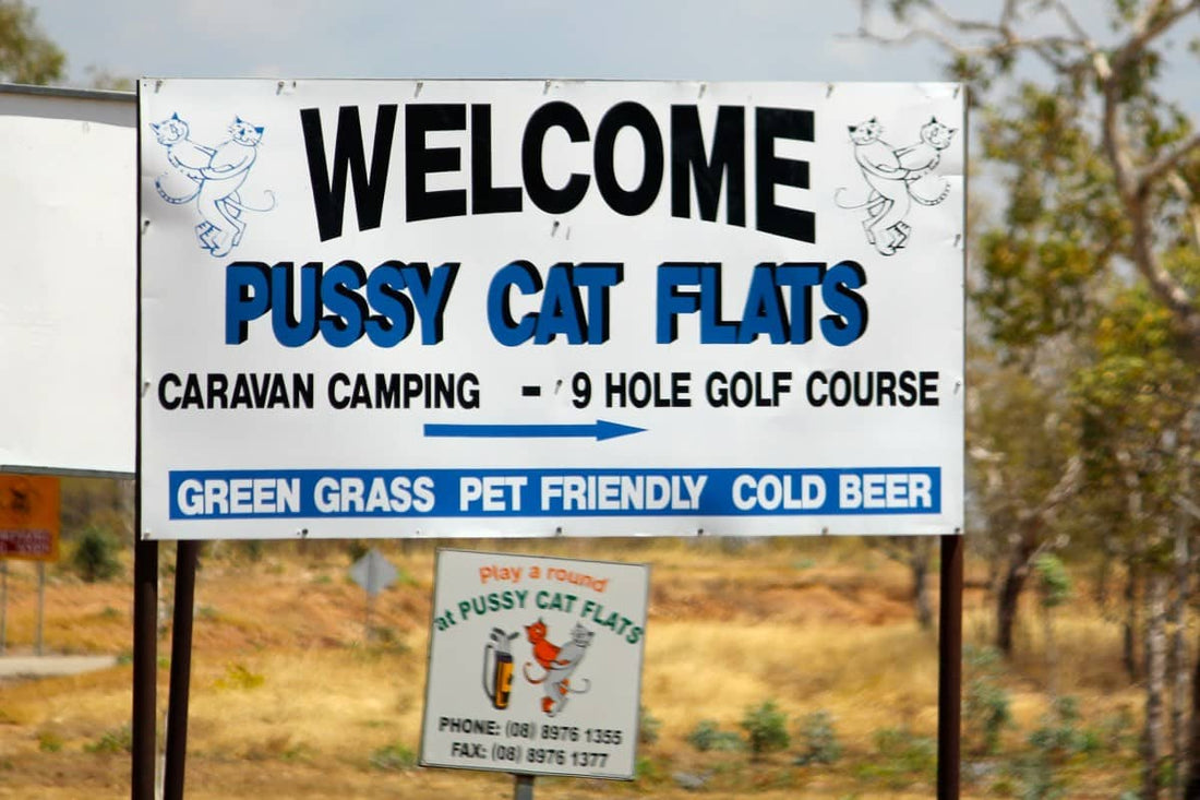 Pussycat sign