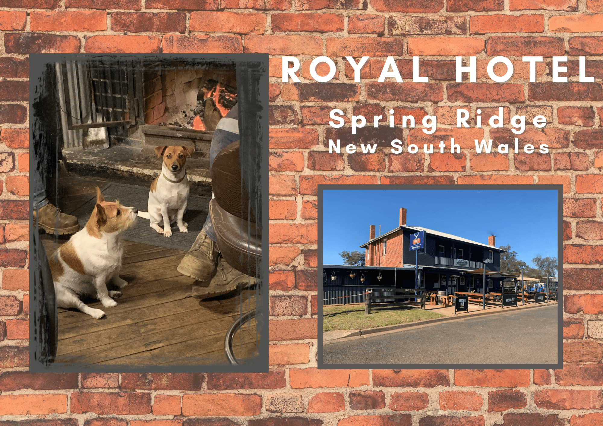 Royal Hotel, Spring Ridge, NSW – Country Pub Camping