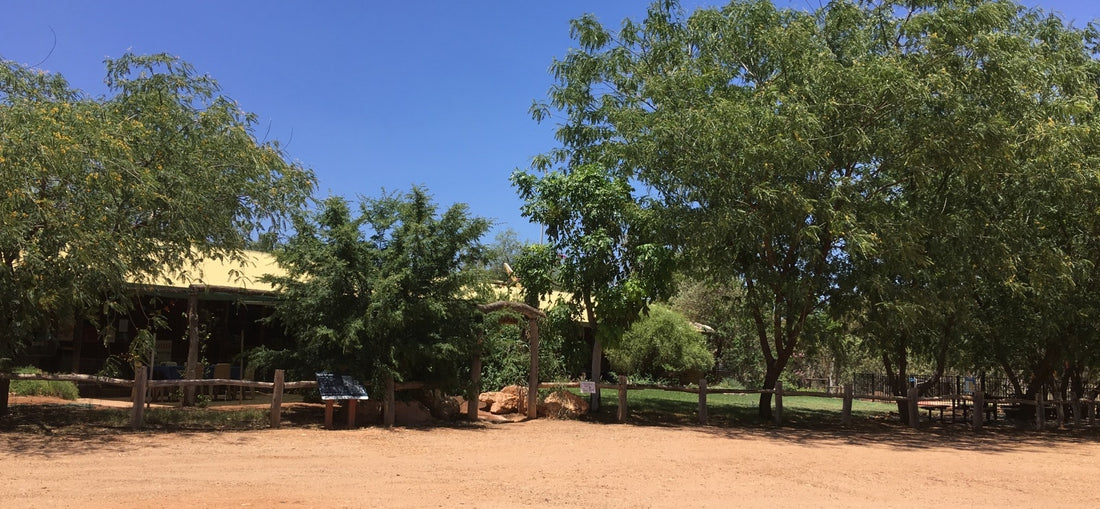 Gemtree Outback Wilderness Retreat, Anmatjere, NT